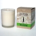 Asana Soy Candle (coconut citrus)