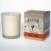 Asana Soy Candle (chai)